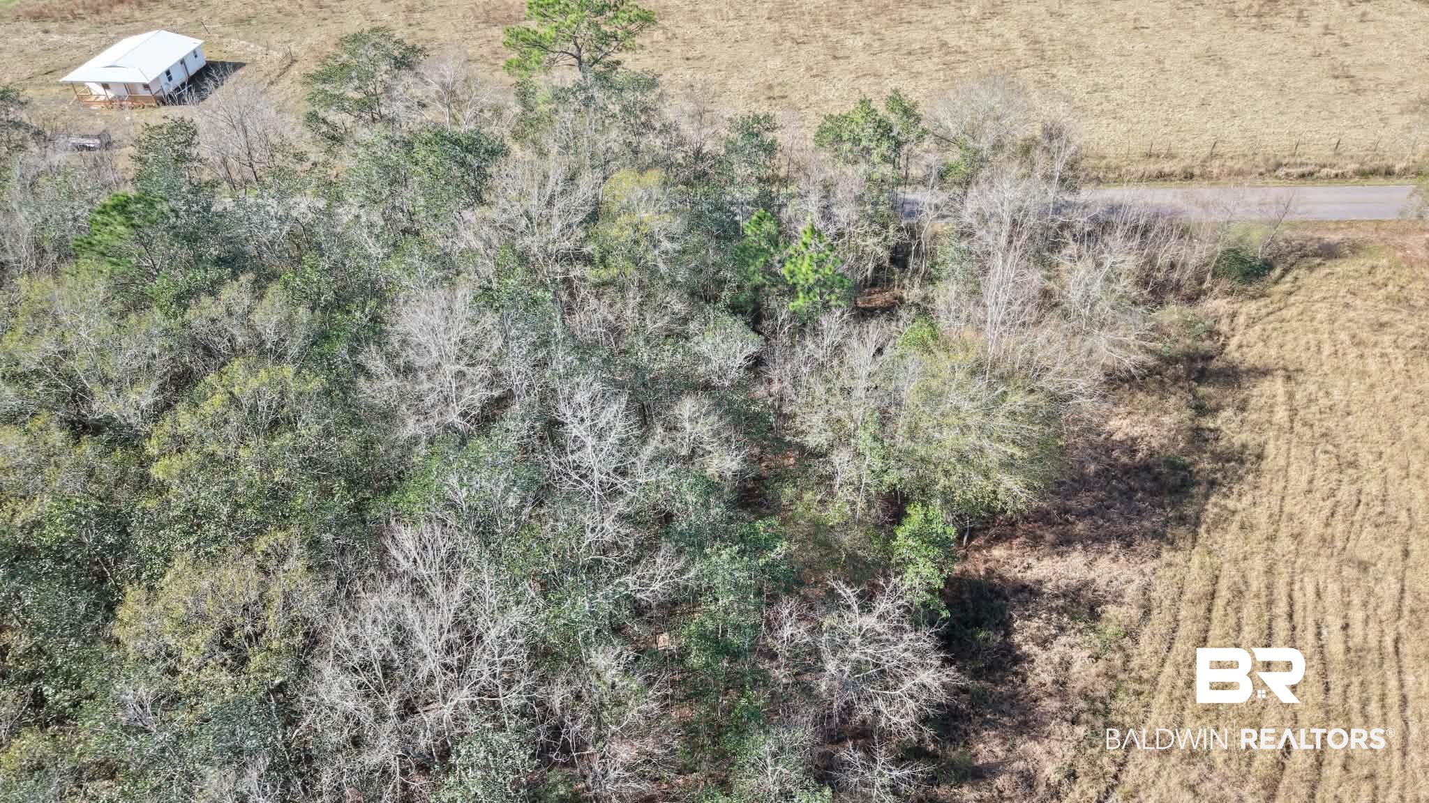 Virginia Drive Atmore, AL 36502 - Photo 8 of 8 Drone / aerial view