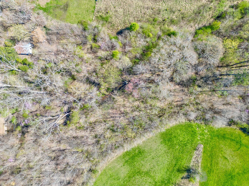 1400 Beaverdale Road Northeast Dalton, GA 30721 - Photo 8 of 26