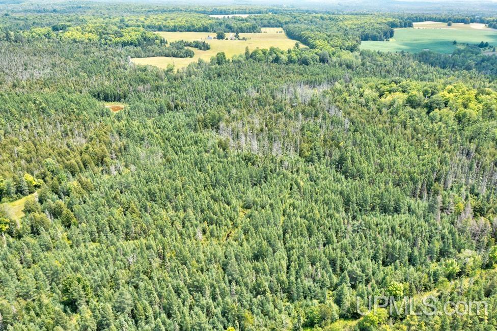 577 Rd Daggett Mi 49821 Road, Unit NONE Daggett, MI 49821 - Photo 1 of 9