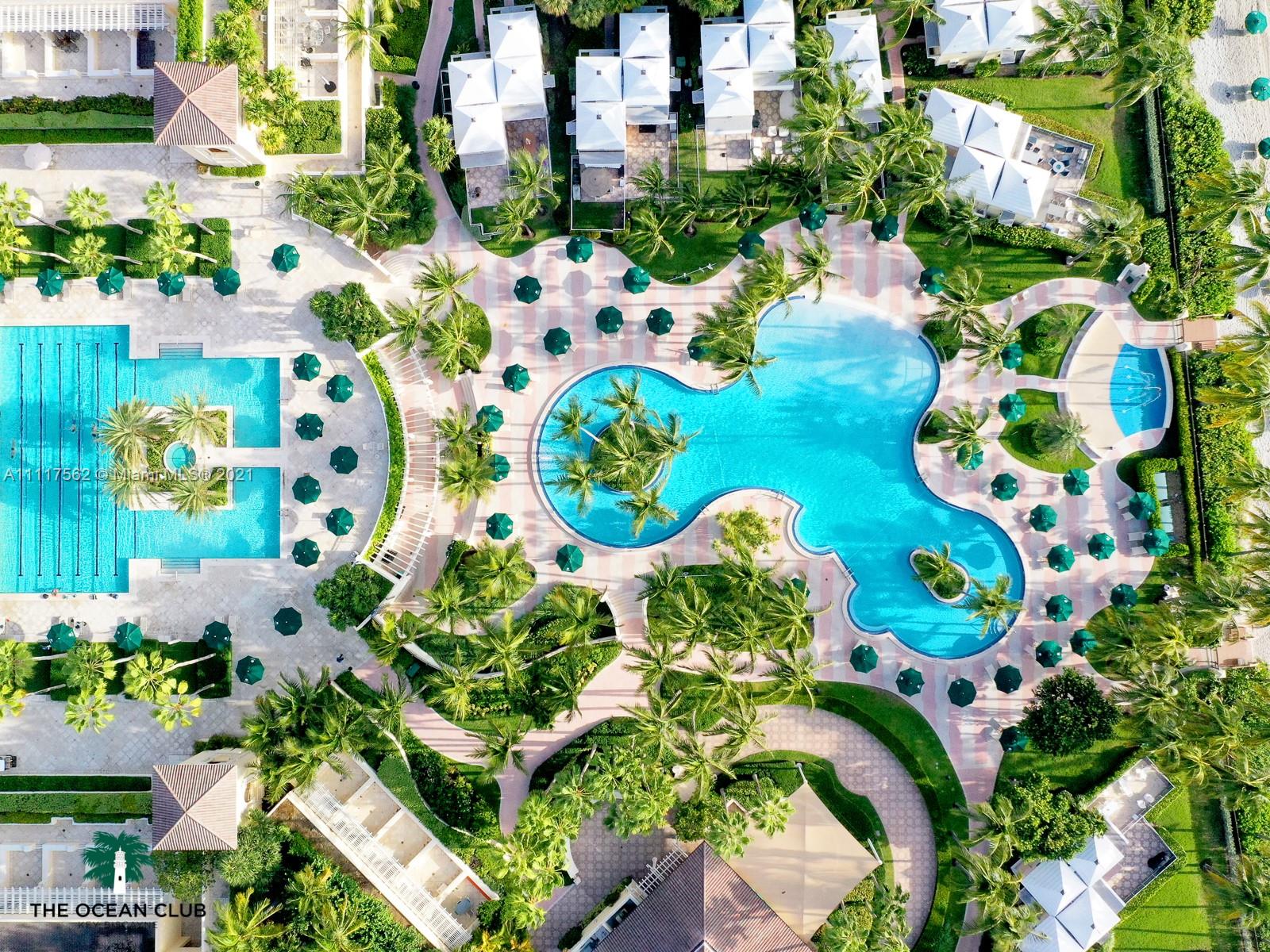 765 Crandon Boulevard, Unit 504 Key Biscayne, FL 33149 - Photo 40 of 46 a bunch of flowers with lots of flower plants