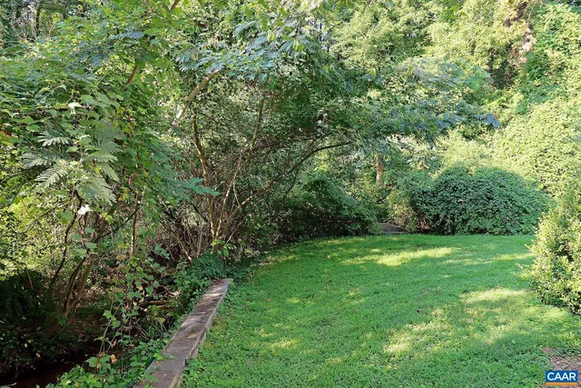 a view of a lush green space