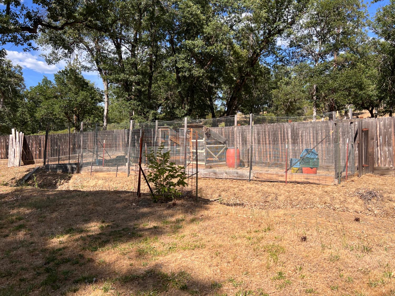 70 Oak Avenue Hayfork, CA 96041 - Photo 14 of 49 a view of park with large tree
