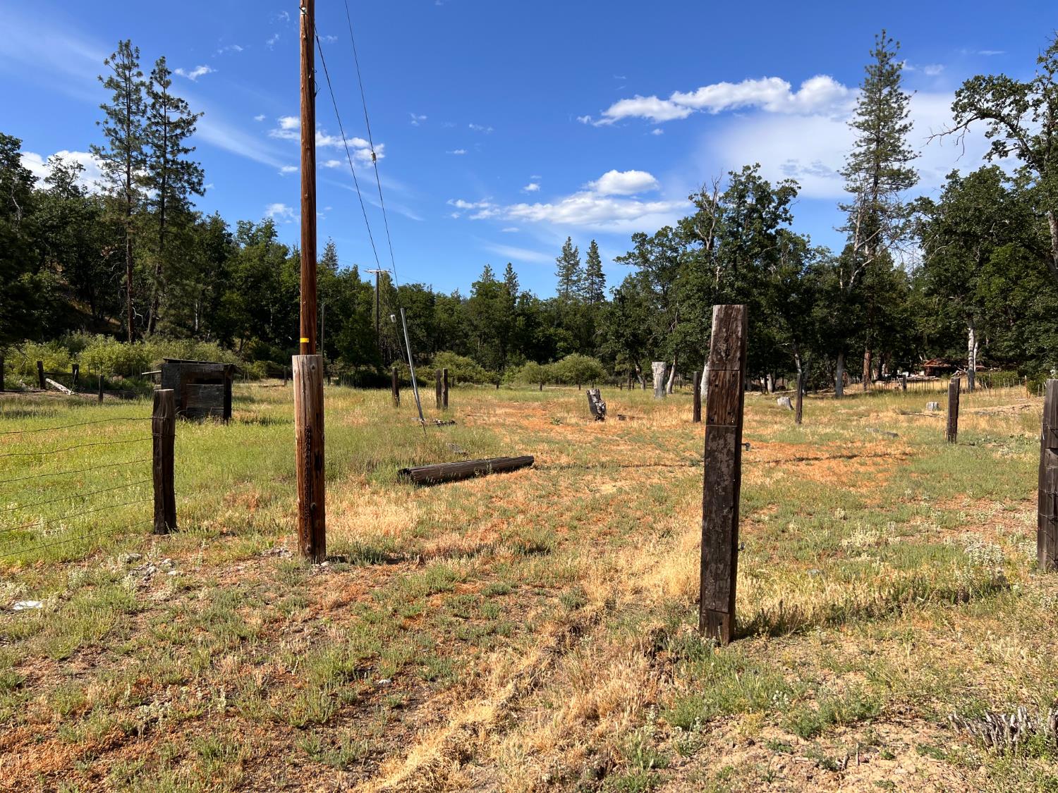 70 Oak Avenue Hayfork, CA 96041 - Photo 23 of 49 a view of a yard with a tree