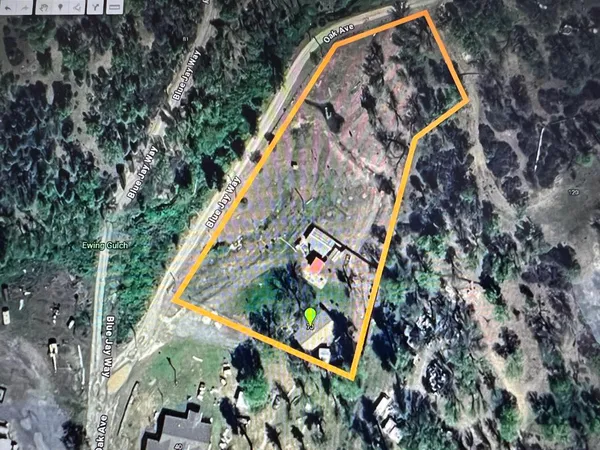 a view of a yard with trees