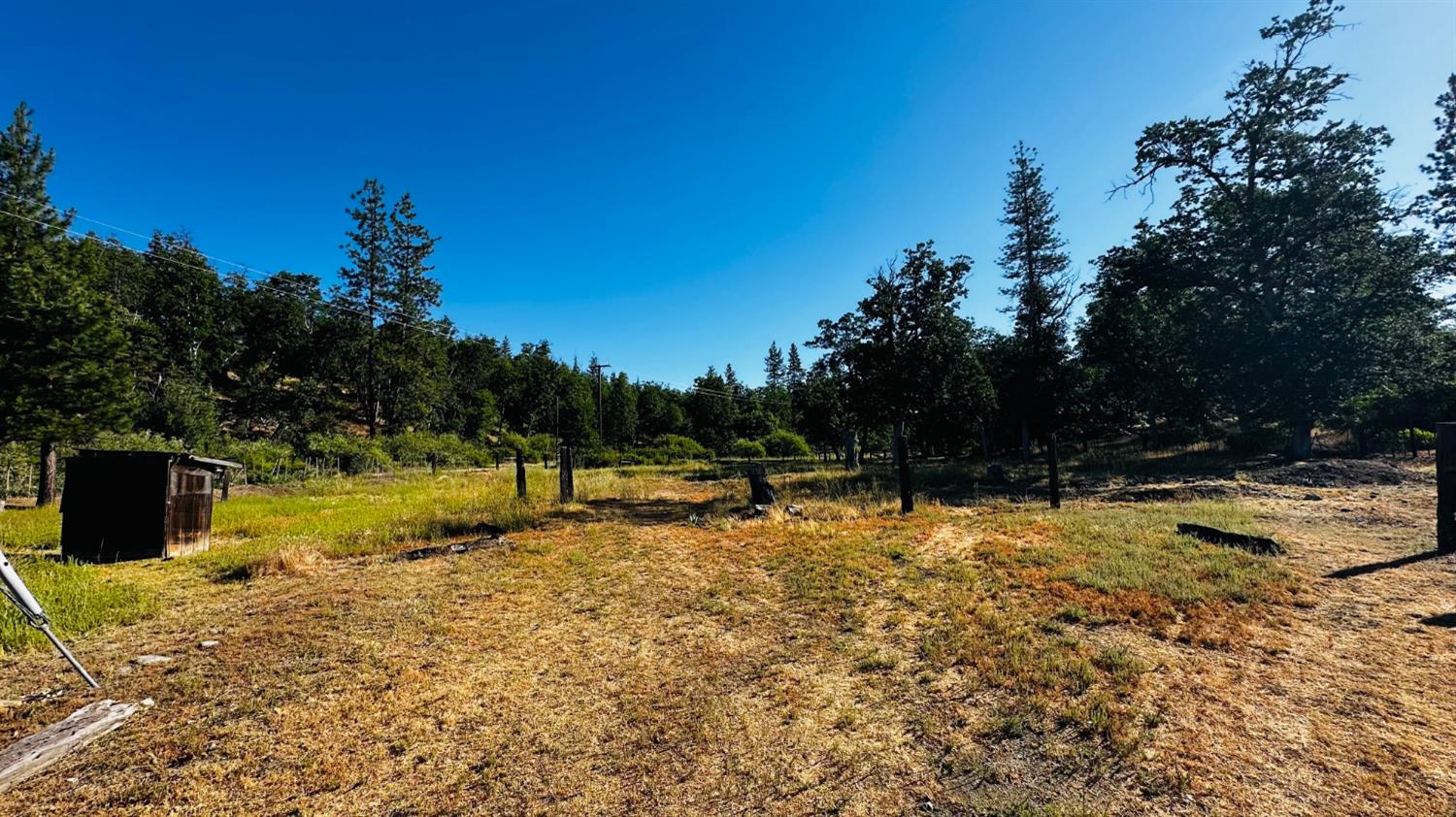 70 Oak Avenue Hayfork, CA 96041 - Photo 27 of 49 a view of a yard with trees