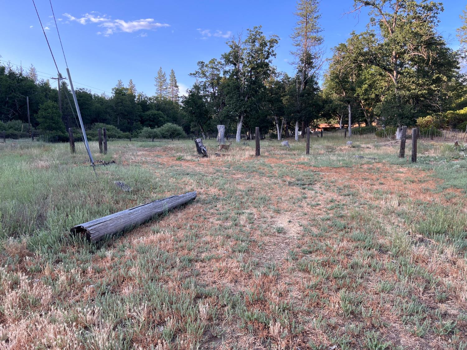 70 Oak Avenue Hayfork, CA 96041 - Photo 3 of 49 a view of outdoor space with swings