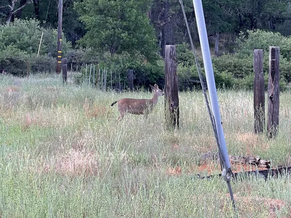 a view of a lake view