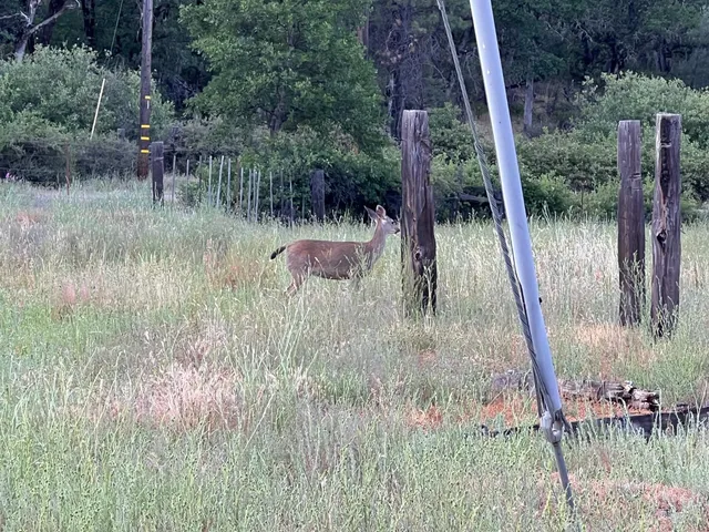 a view of a lake view