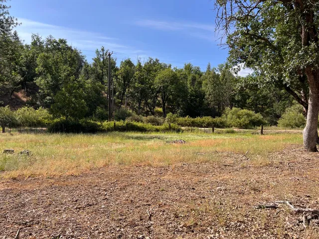 a view of a yard with trees
