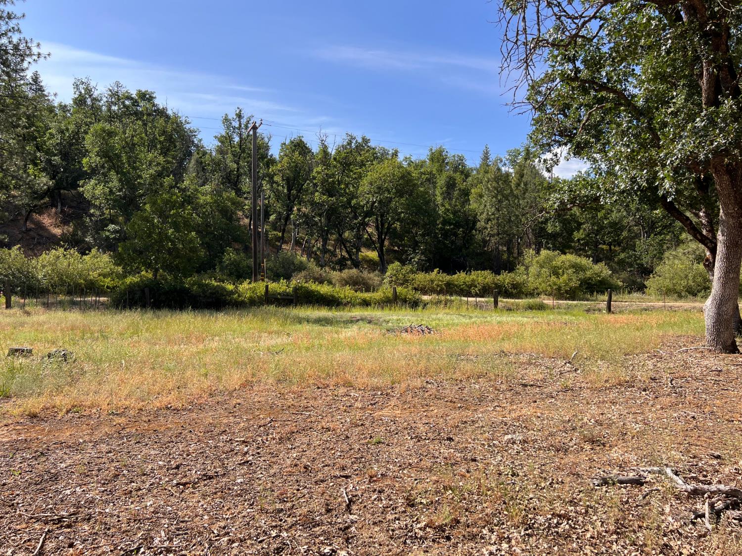 70 Oak Avenue Hayfork, CA 96041 - Photo 6 of 49 a view of a yard with trees