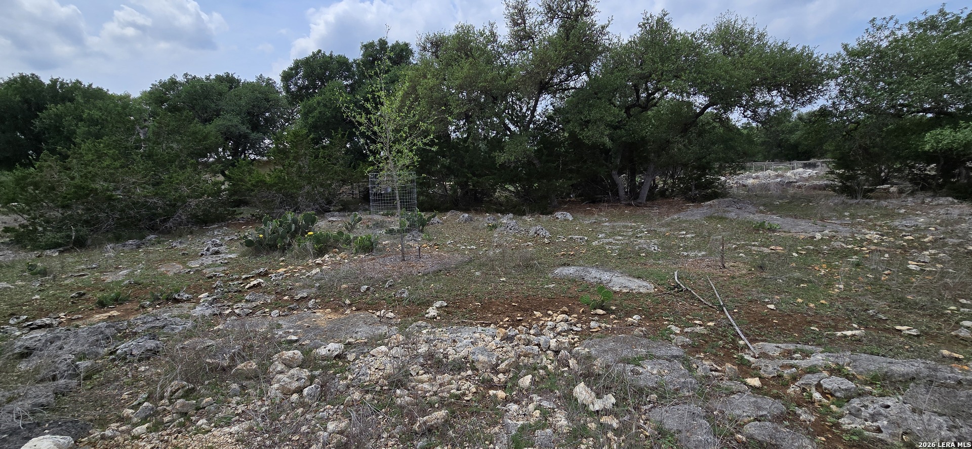 615 Rittimann Road Spring Branch, TX 78070 - Photo 10 of 18