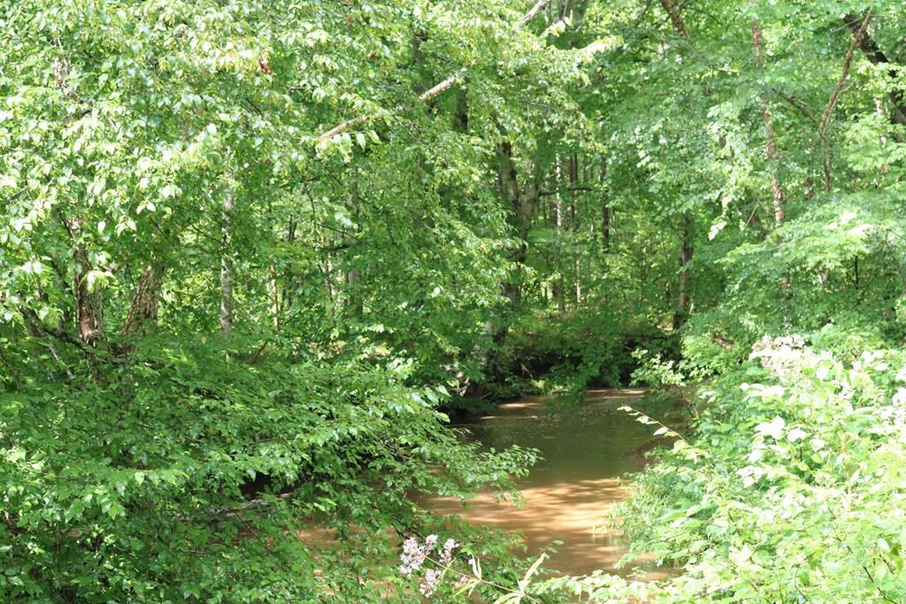 643 New Grove Road Kenbridge, VA 23944 - Photo 1 of 10 Gallery Image 1