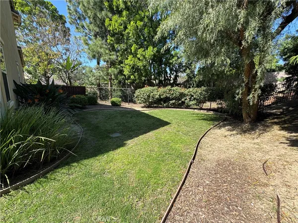 a view of a yard with plants