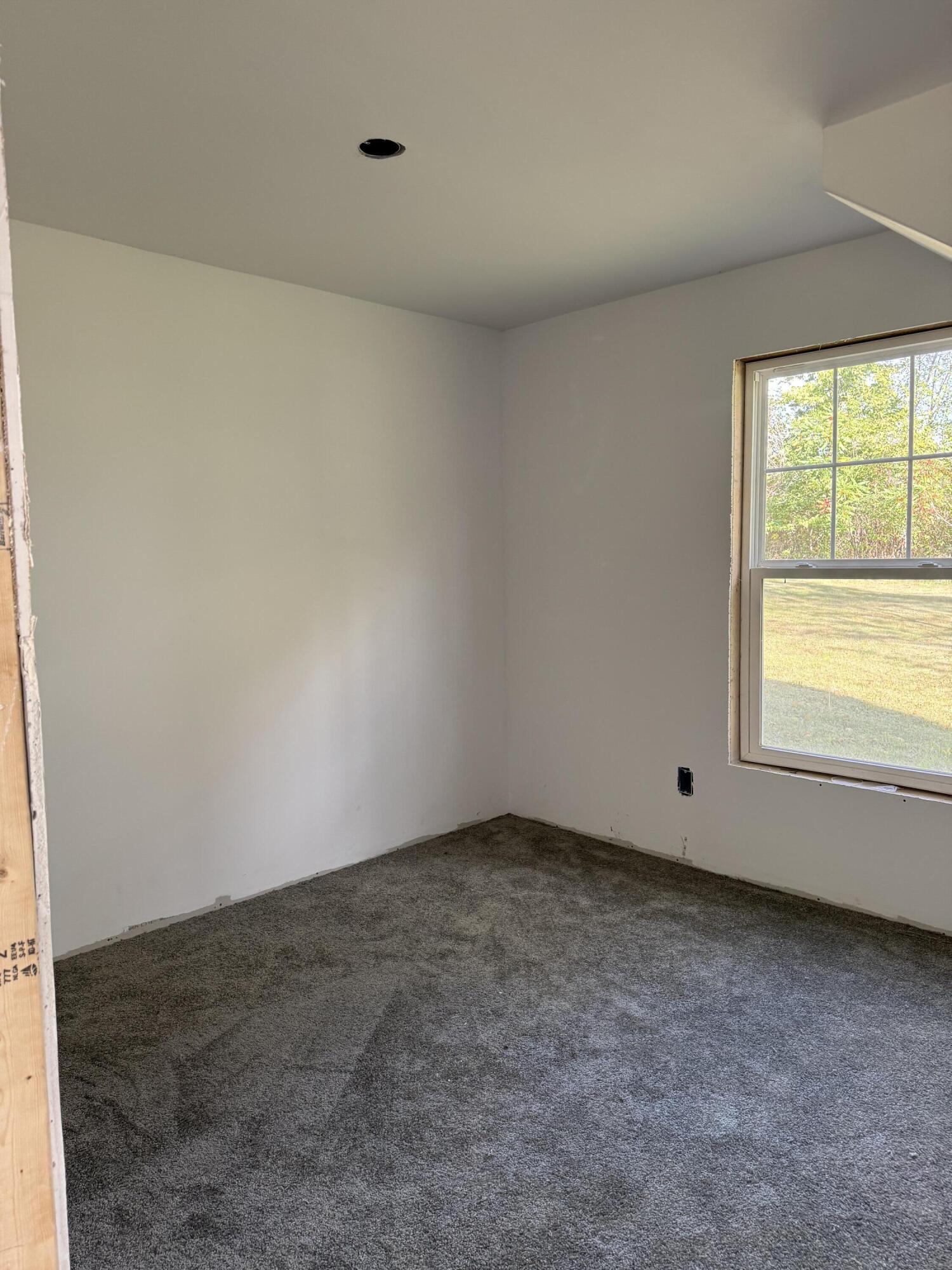 233 Davis Street Marcellus, MI 49067 - Photo 12 of 17 IMG_5941