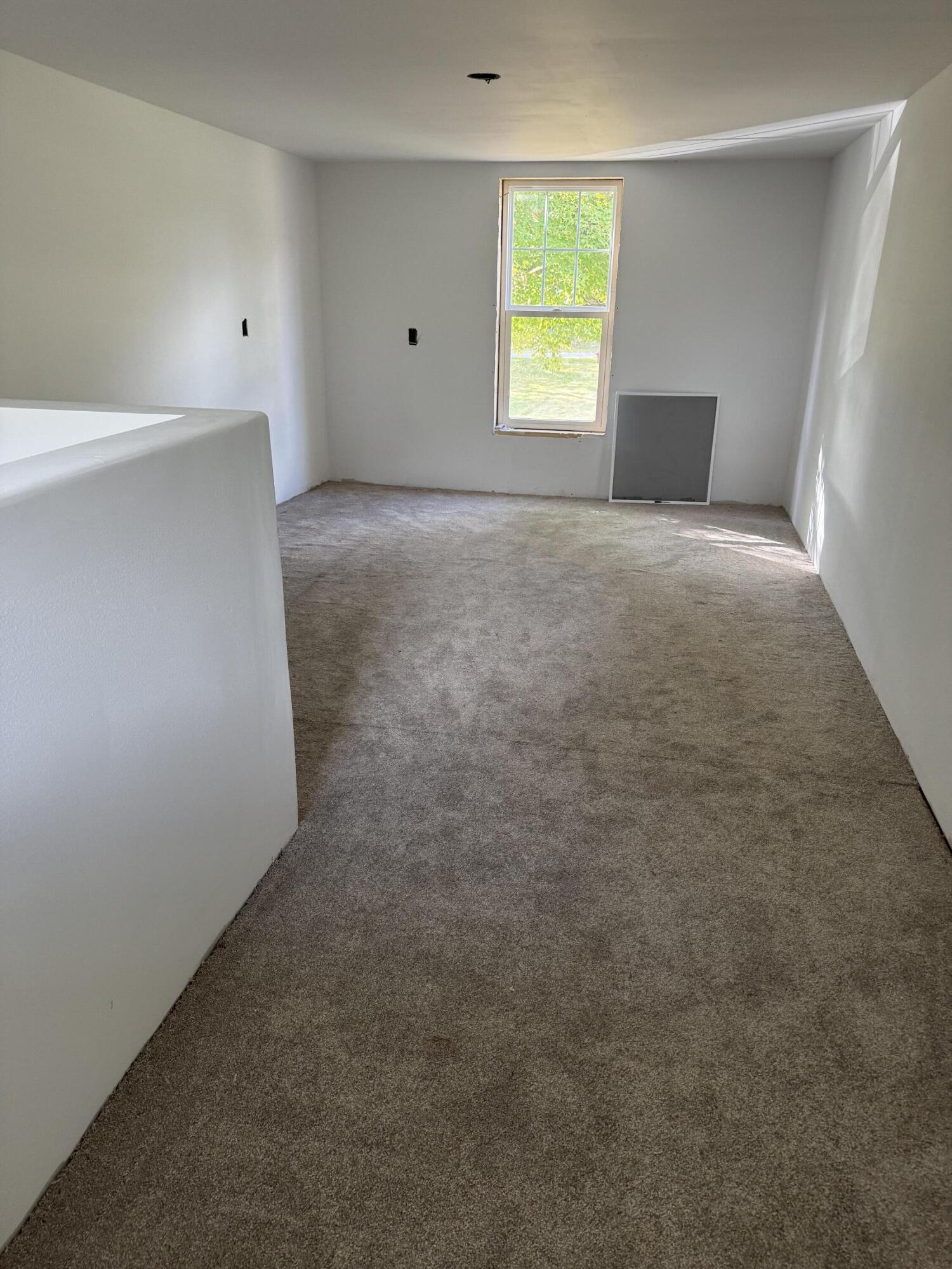 233 Davis Street Marcellus, MI 49067 - Photo 9 of 17 IMG_5934