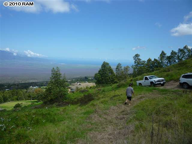 0 Waiahuli Road Kula, HI 96790 - Photo 13 of 17 a view of a backyard