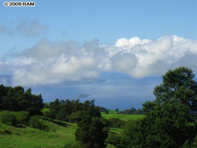 0 Waiahuli Road Kula, HI 96790 - Photo 9 of 17 a view of a bunch of trees in yard