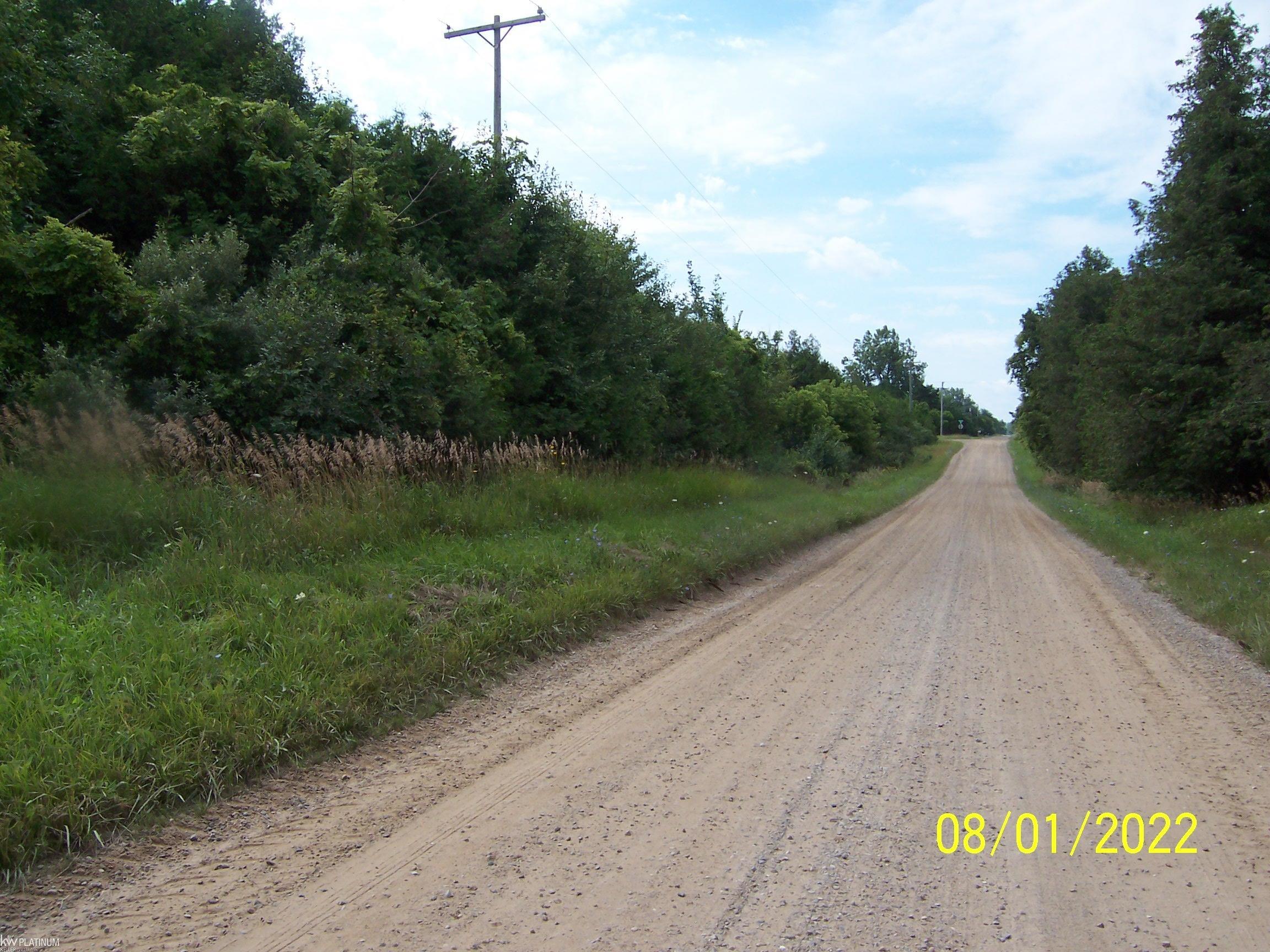 Walker Road Carsonville, MI 48419 - Photo 3 of 7