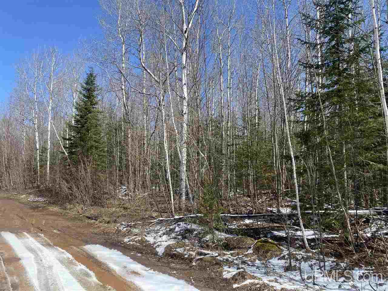 Tbd Bolo Road Marenisco, MI 49947 - Photo 12 of 14