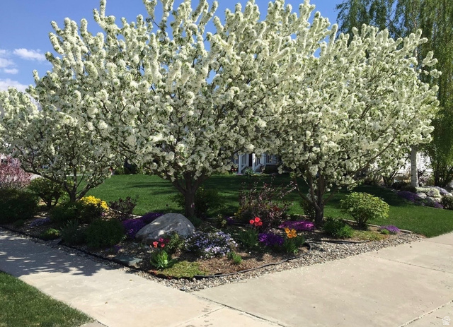 955 West 2390th South Perry, UT 84302 - Photo 50 of 51 Spring!