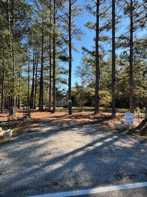 131 Mark Walden Road Blythe, GA 30805 - Photo 4 of 26 Driveway