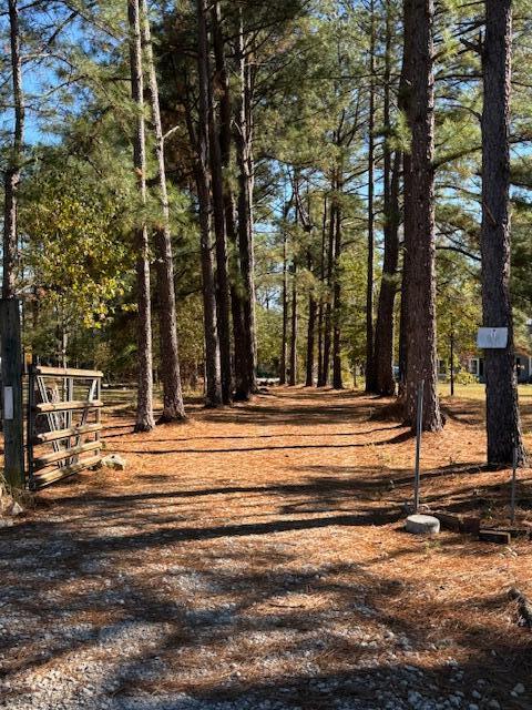 131 Mark Walden Road Blythe, GA 30805 - Photo 5 of 26 Driveway 2