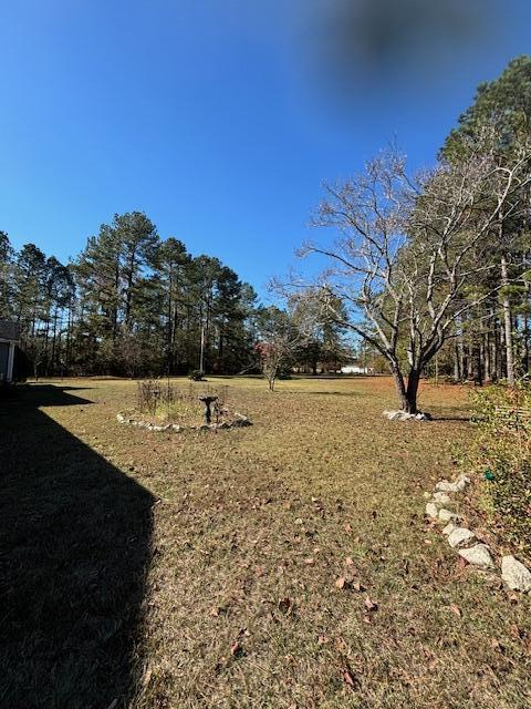 131 Mark Walden Road Blythe, GA 30805 - Photo 6 of 26 Front Yard