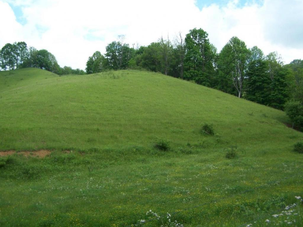Lot 1 Fred Wallace Road Trade, TN 37691 - Photo 1 of 9 Photo 1