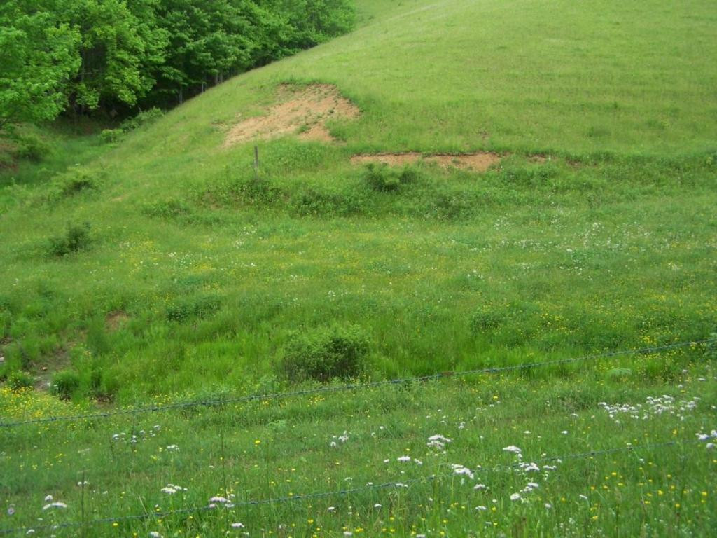 Lot 1 Fred Wallace Road Trade, TN 37691 - Photo 5 of 9 Photo 5