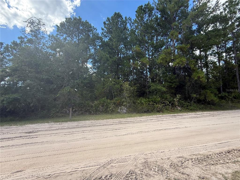 4334 Lori Loop Road Keystone Heights, FL 32656 - Photo 5 of 11 a view of a terrace view