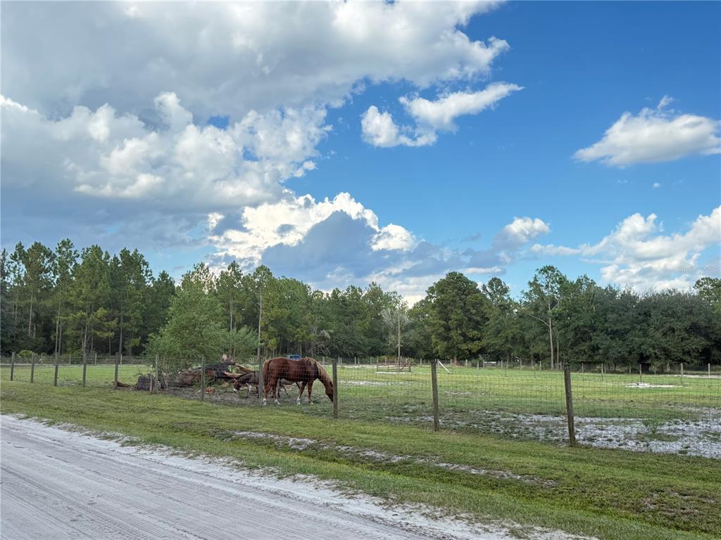 4334 Lori Loop Road Keystone Heights, FL 32656 - Photo 7 of 11 a view of a golf course