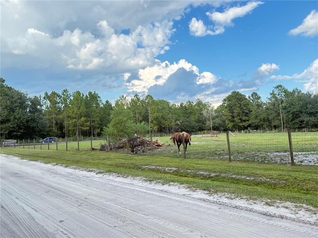 4334 Lori Loop Road Keystone Heights, FL 32656 - Photo 8 of 11 a view of a park