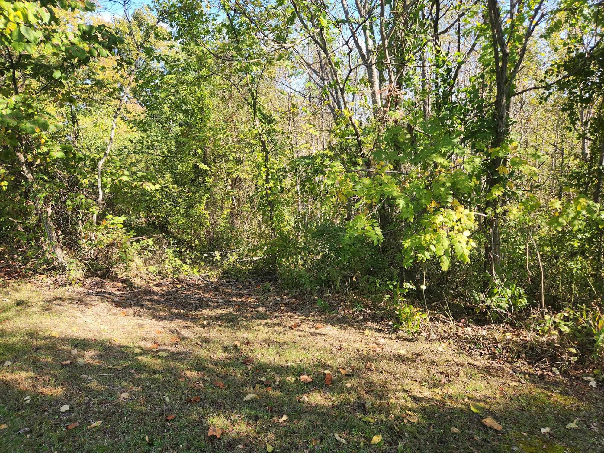 0 Kiser Fork Road Grayson, KY 41143 - Photo 21 of 48 Gallery Image 21
