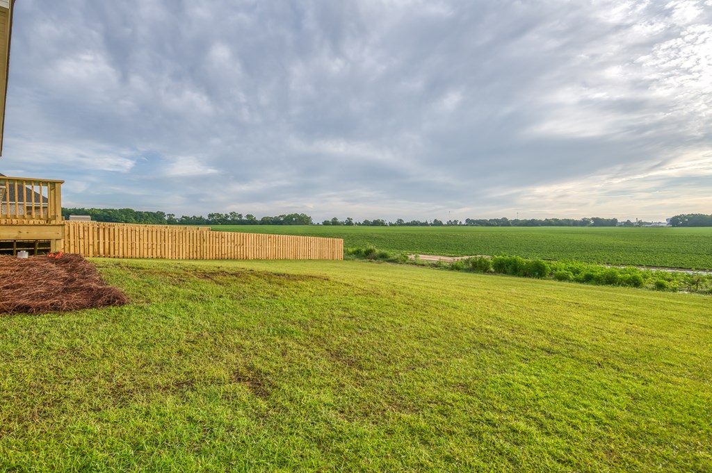 1017 Sandbed Road Newton, AL 36352 - Photo 12 of 14