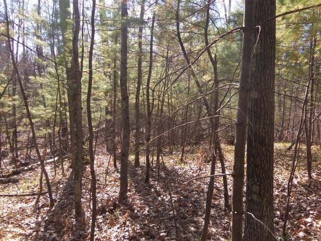 Lot 22 Poplar Road Lake Tomahawk, WI 54539 - Photo 2 of 11 Gallery Image 2