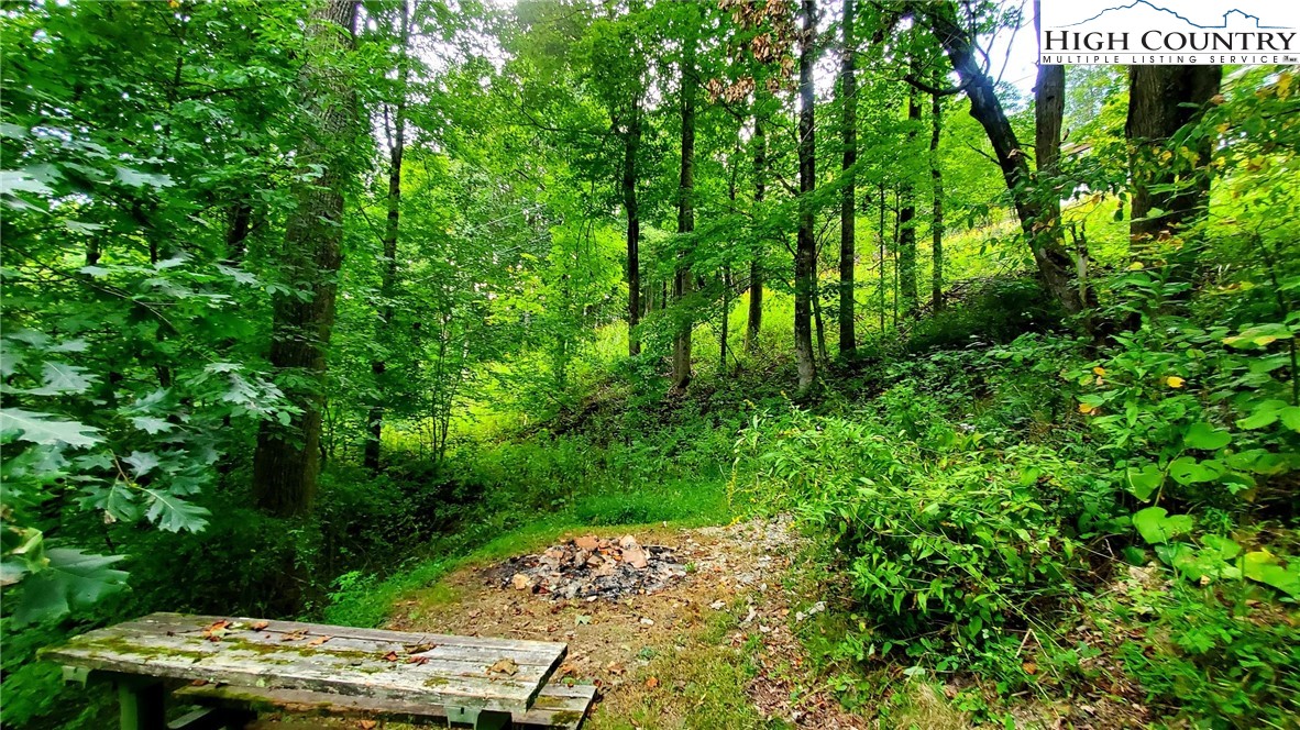 493 Rainbow Mountain Road Boone, NC 28607 - Photo 8 of 19 Gallery Image 8