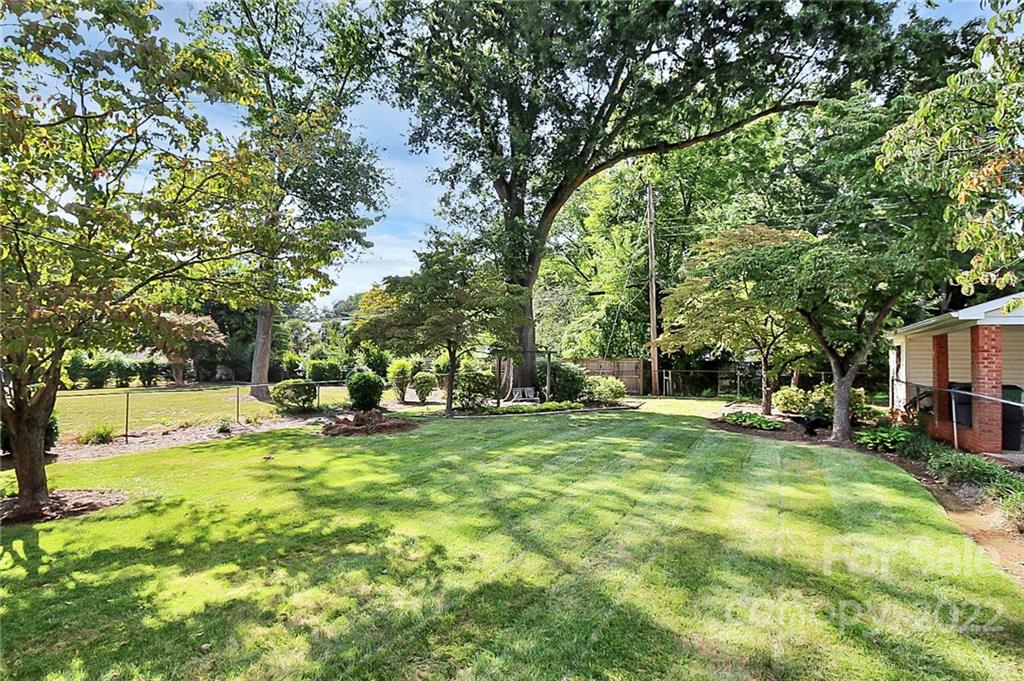4114 Murrayhill Road Charlotte, NC 28209 - Photo 4 of 28 a view of a park with large trees