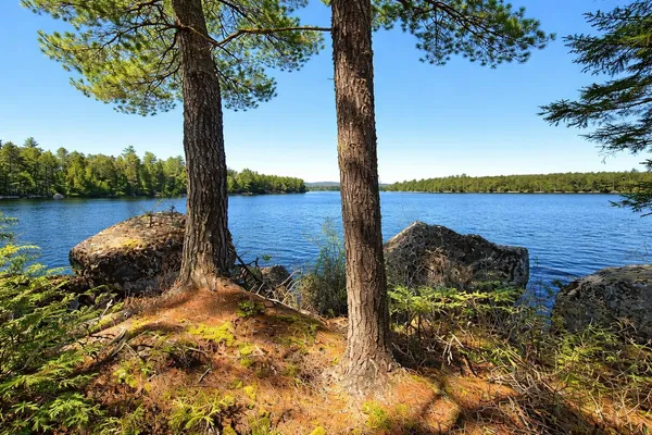 $250,000 | 0 Cody Way, Lakeville, ME 04487