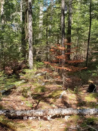 $250,000 | 0 Cody Way, Lakeville, ME 04487