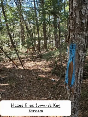 $250,000 | 0 Cody Way, Lakeville, ME 04487