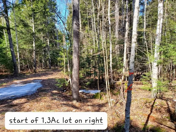 $250,000 | 0 Cody Way, Lakeville, ME 04487