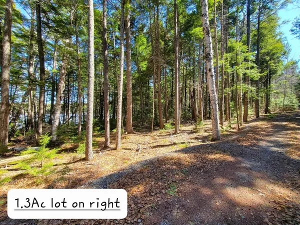 $250,000 | 0 Cody Way, Lakeville, ME 04487