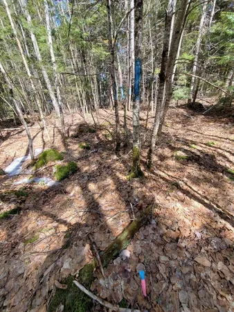 $250,000 | 0 Cody Way, Lakeville, ME 04487