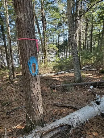 $250,000 | 0 Cody Way, Lakeville, ME 04487