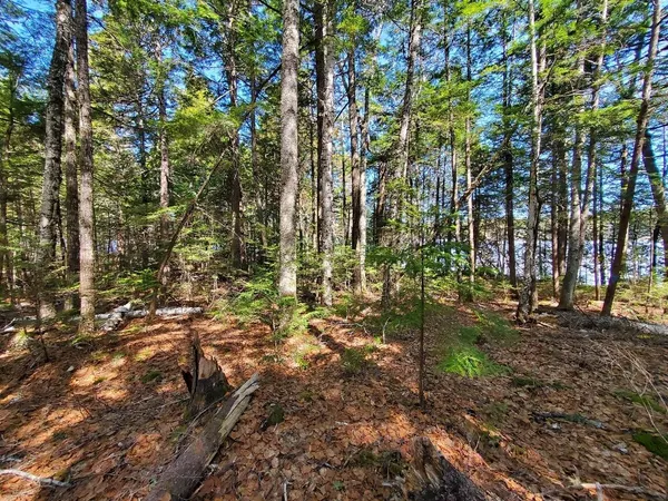 $250,000 | 0 Cody Way, Lakeville, ME 04487