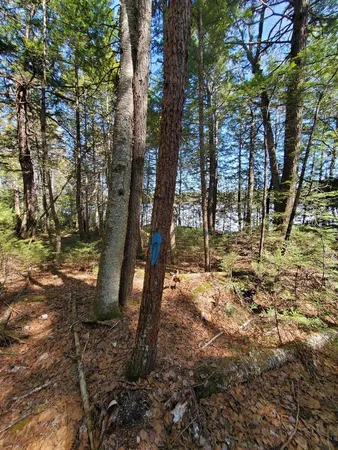 $250,000 | 0 Cody Way, Lakeville, ME 04487