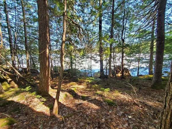 $250,000 | 0 Cody Way, Lakeville, ME 04487