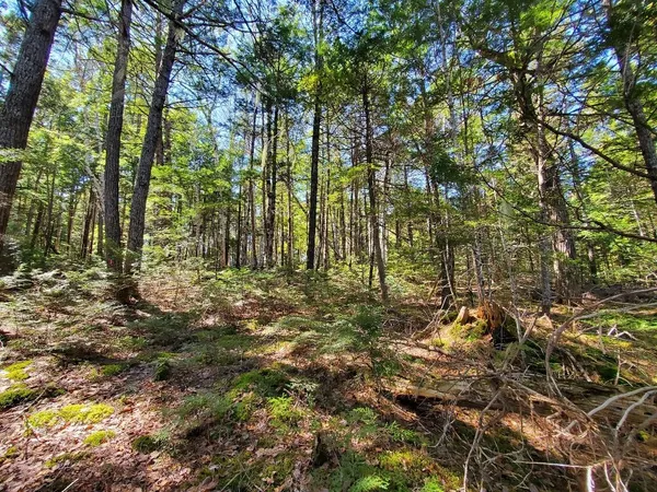 $250,000 | 0 Cody Way, Lakeville, ME 04487