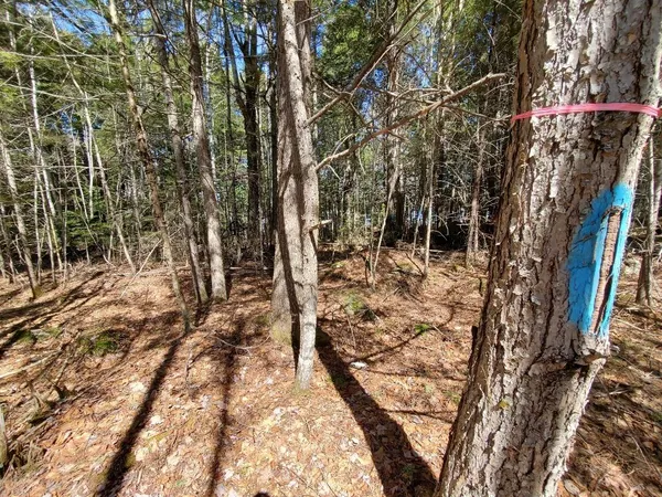 $250,000 | 0 Cody Way, Lakeville, ME 04487