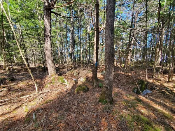$250,000 | 0 Cody Way, Lakeville, ME 04487